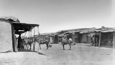 95 лет назад в Казахстане остановили бесконтрольное распространение проказы: что сейчас, фото - Новости Zakon.kz от 26.03.2024 14:22