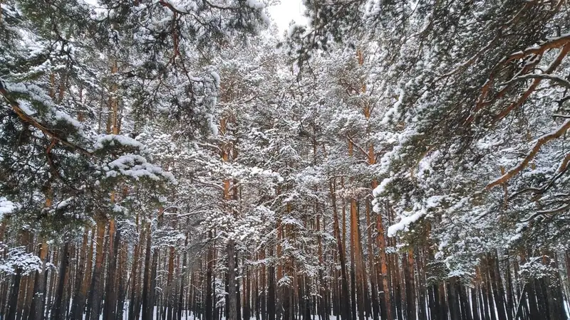 Правительство Казахстана увеличило площадь национального парка "Бурабай"