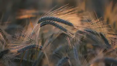 МСХ, Казахстан, Айдарбек Сапаров , фото - Новости Zakon.kz от 26.03.2024 10:32