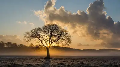 штормовое предупреждение, фото - Новости Zakon.kz от 26.03.2024 20:00