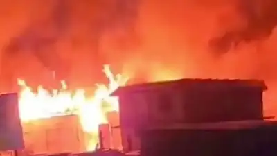 В Жамбылской области в пожаре погибло 48 голов скота, фото - Новости Zakon.kz от 26.03.2024 06:38