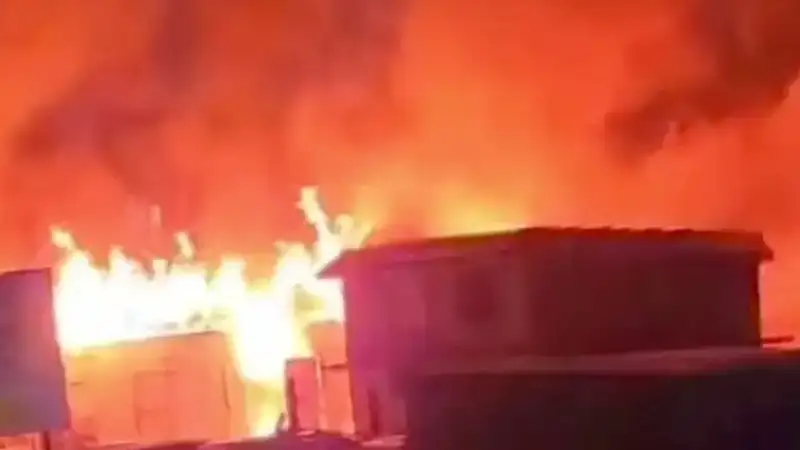 В Жамбылской области в пожаре погибло 48 голов скота