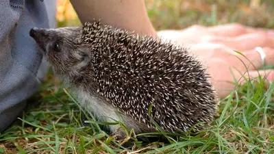 Природа, фото - Новости Zakon.kz от 28.03.2024 08:34