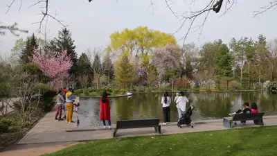 Ботанический сад Алматы будет работать по-новому, фото - Новости Zakon.kz от 27.03.2024 11:13