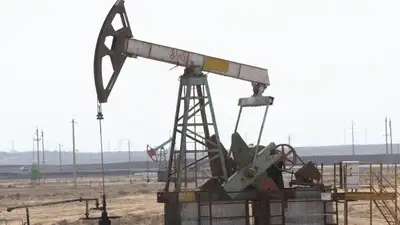 Саткалиев, Казахстан, транспортировка , фото - Новости Zakon.kz от 27.03.2024 14:36