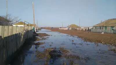 В Аягозе Абайской области талые воды подтопили дворовые участки