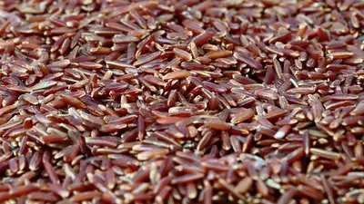 Япония, красный рис, смерти, пищевая добавка, фото - Новости Zakon.kz от 28.03.2024 14:15