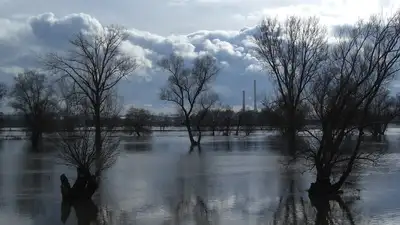 Режим ЧС объявили Абайской области, фото - Новости Zakon.kz от 29.03.2024 09:58