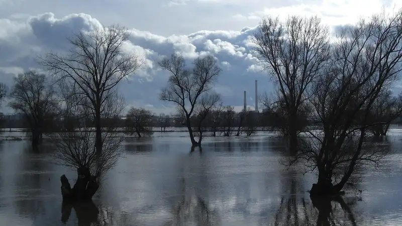 Режим ЧС объявили в районе Абайской области