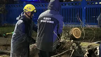 Алматы , фото - Новости Zakon.kz от 29.03.2024 08:46