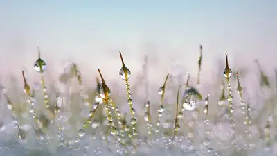 прогноз погоды, фото - Новости Zakon.kz от 30.03.2024 18:43