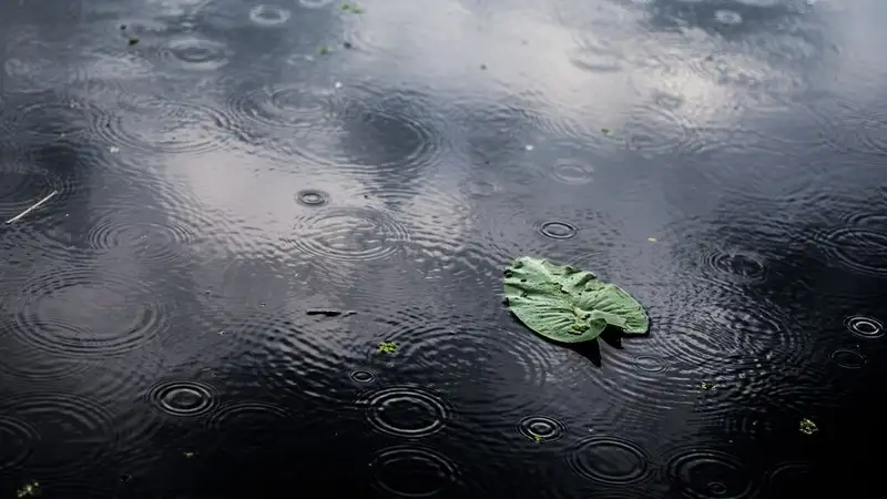 Проливной дождь и снег прогнозируют в Казахстане 31 марта