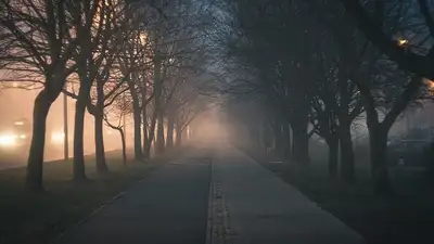 штормовое предупреждение, фото - Новости Zakon.kz от 31.03.2024 18:22