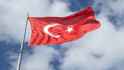 Волна протестов захлестнула турецкие города