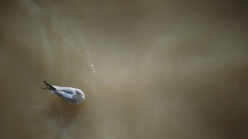 Разлив нефти обнаружили на Каспийском море недалеко от месторождения