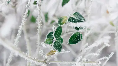 Зимние сюрпризы ожидают казахстанцев от погоды весной, фото - Новости Zakon.kz от 02.04.2024 11:09