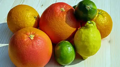 Апельсины или лимоны: эксперты рассказали в чем их польза, фото - Новости Zakon.kz от 04.04.2024 04:29