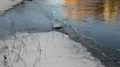 , фото - Новости Zakon.kz от 05.04.2024 11:22