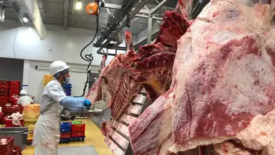 В Казахстане и странах ЕАЭС изменился техрегламент на мясную продукцию