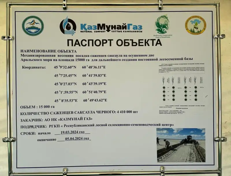 При поддержке "КазМунайГаза" на высохшем дне Аральского моря высадят более 4,4 млн саженцев саксаула, фото - Новости Zakon.kz от 05.04.2024 17:59