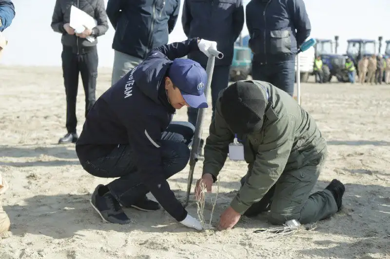 При поддержке "КазМунайГаза" на высохшем дне Аральского моря высадят более 4,4 млн саженцев саксаула, фото - Новости Zakon.kz от 05.04.2024 17:59