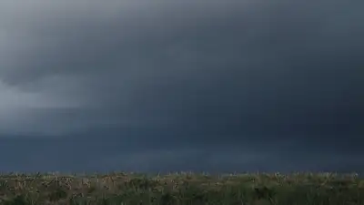 Неблагоприятные метеоусловия обещают синоптики в семи городах РК, фото - Новости Zakon.kz от 07.04.2024 02:20