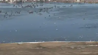 В семи областях Казахстана ограничили движение автотраснпорта, фото - Новости Zakon.kz от 07.04.2024 07:43