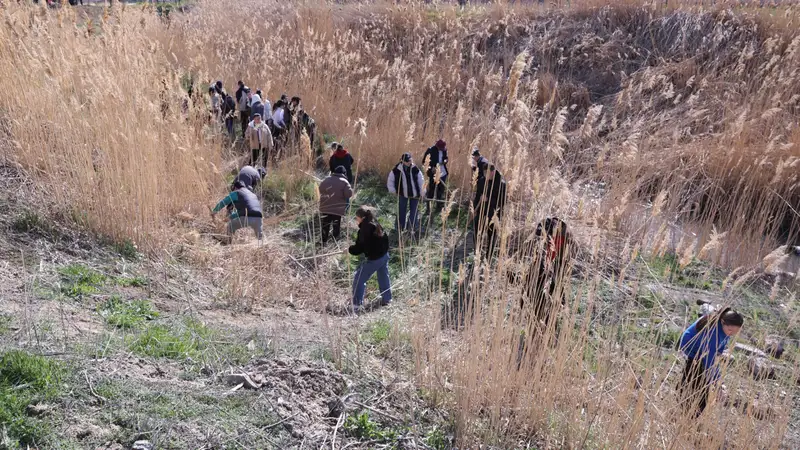 Каналы и арыки очистили от мусора в Жамбылской области