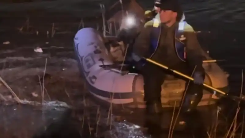 В Костанае затопило приют для бездомных животных