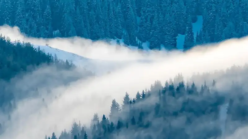 Алматинский фотограф поделился кадрами гор после дождя