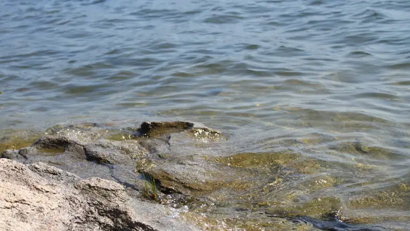 Национальную гидрогеологическую службу создадут в Казахстане