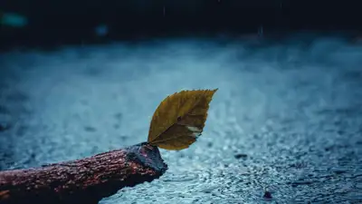 Сильные дожди накроют Казахстан, фото - Новости Zakon.kz от 08.04.2024 11:44