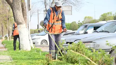озеленение, фото - Новости Zakon.kz от 08.04.2024 20:23