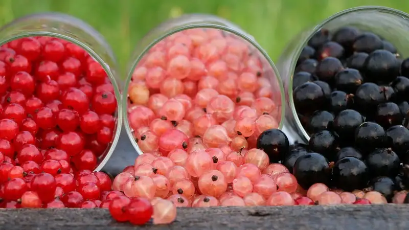 Девочка заработала 10 тыс. долларов на надгробие своей покойной матери