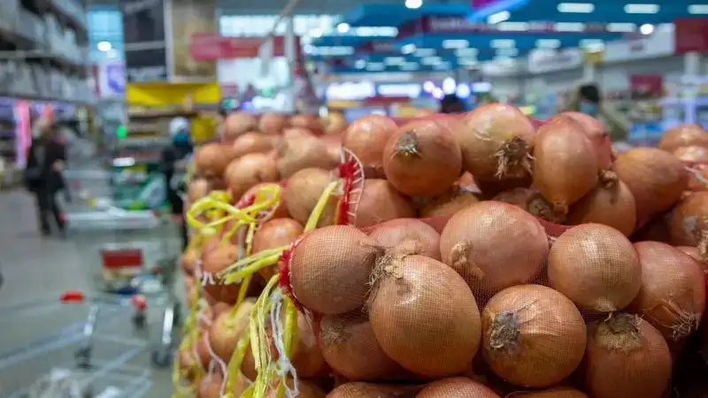 В Таразе ищут владельцев нескольких тонн гнилого лука, выброшенного в горах