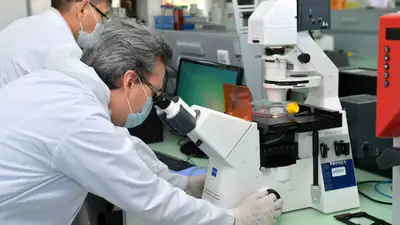 Холера, самолет, Алматы, контактные, фото - Новости Zakon.kz от 08.04.2024 15:24