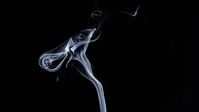 сигареты, контрабанда, налоги, фото - Новости Zakon.kz от 11.04.2024 16:35