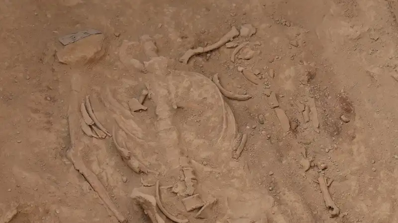 Человеческие кости нашли при заборе земли для укрепления дамбы в Казахстане