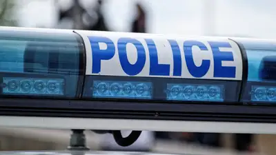 У мэра французского города  нашли 70 кг марихуаны, фото - Новости Zakon.kz от 09.04.2024 02:26