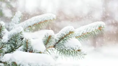 Сильные осадки и похолодание, прогноз погоды в Казахстане на 11-13 апреля, фото - Новости Zakon.kz от 10.04.2024 14:16