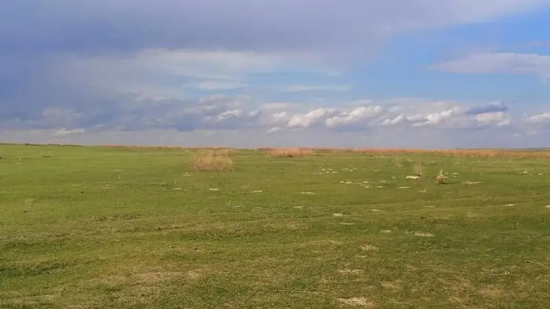 Хозяйство "Вильгельм" в Павлодарской области незаконно получило земли на 20 лет