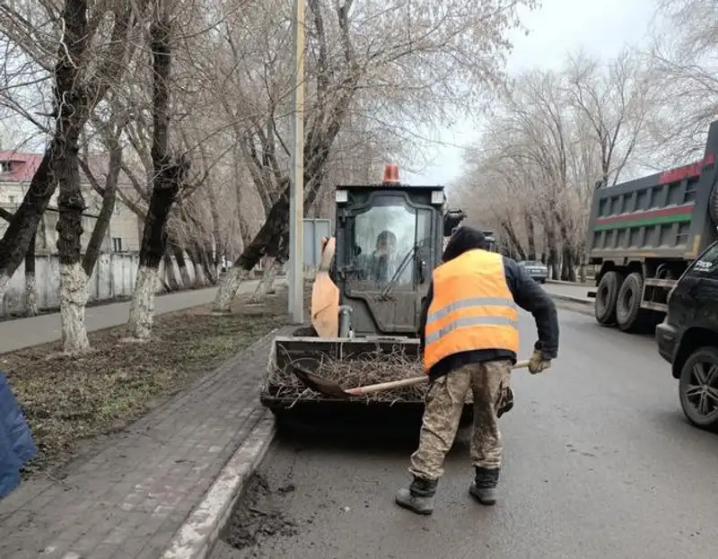 В Карагандинской области в 2024 году планируют высадить 53 тысячи саженцев, фото - Новости Zakon.kz от 11.04.2024 11:24