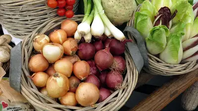 Как разнообразить апрельский рацион сезонными продуктами, фото - Новости Zakon.kz от 11.04.2024 08:53