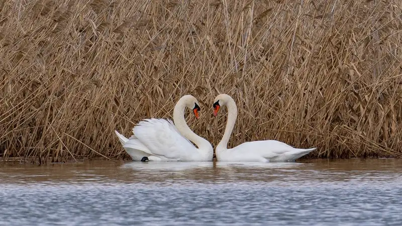 Фотограф показал контрасты на озере Малый Талдыколь