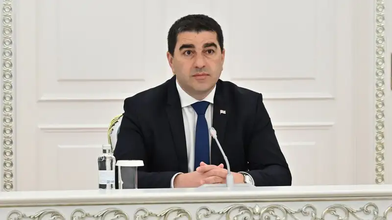 Токаев принял главу Парламента Грузии, фото - Новости Zakon.kz от 12.04.2024 12:36