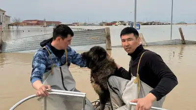 паводки, Казахстан, помощь   