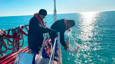 рыба, фото - Новости Zakon.kz от 13.04.2024 10:32