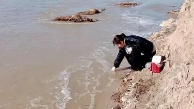 Казахстан, фото - Новости Zakon.kz от 13.04.2024 08:53