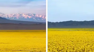 видео казахстанской природы, фото - Новости Zakon.kz от 13.04.2024 22:30