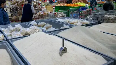 Качество риса, рисоводы, Кызылорда